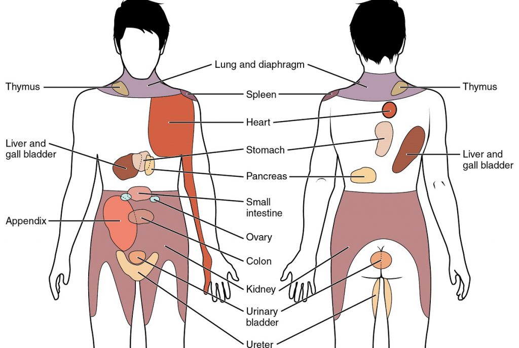 fibromyalgia