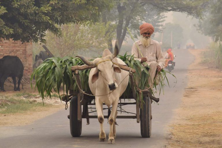 Amidst lockdowns, the innovation India’s rural markets need