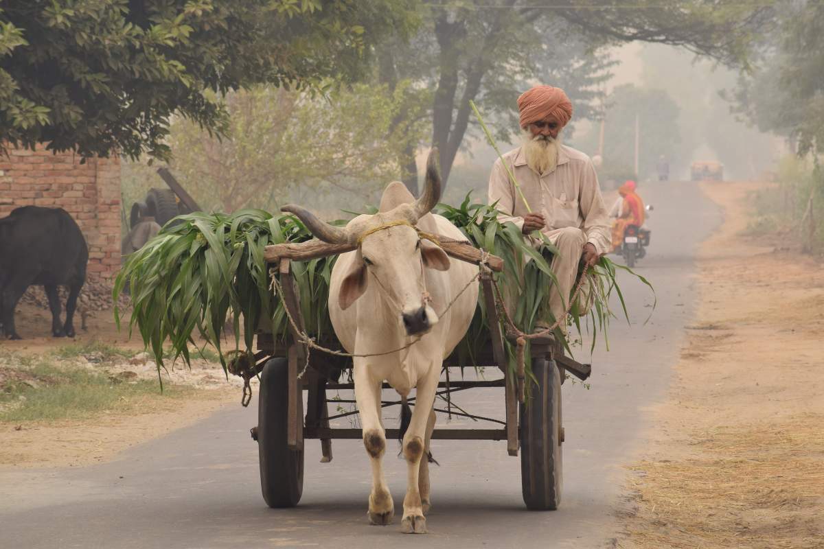 Indian economy