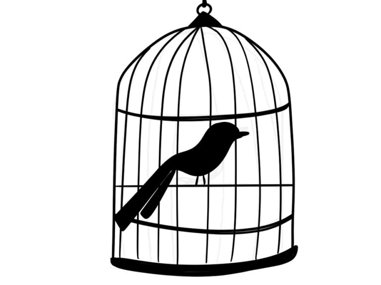 caged parrot