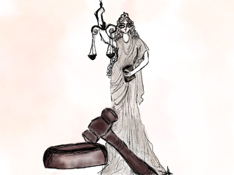 Judicial cleavages and social justice: An Analytical perspective