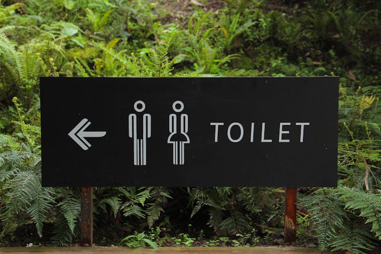 Outdoor toilet sign amidst lush ferns, indicating restroom direction.