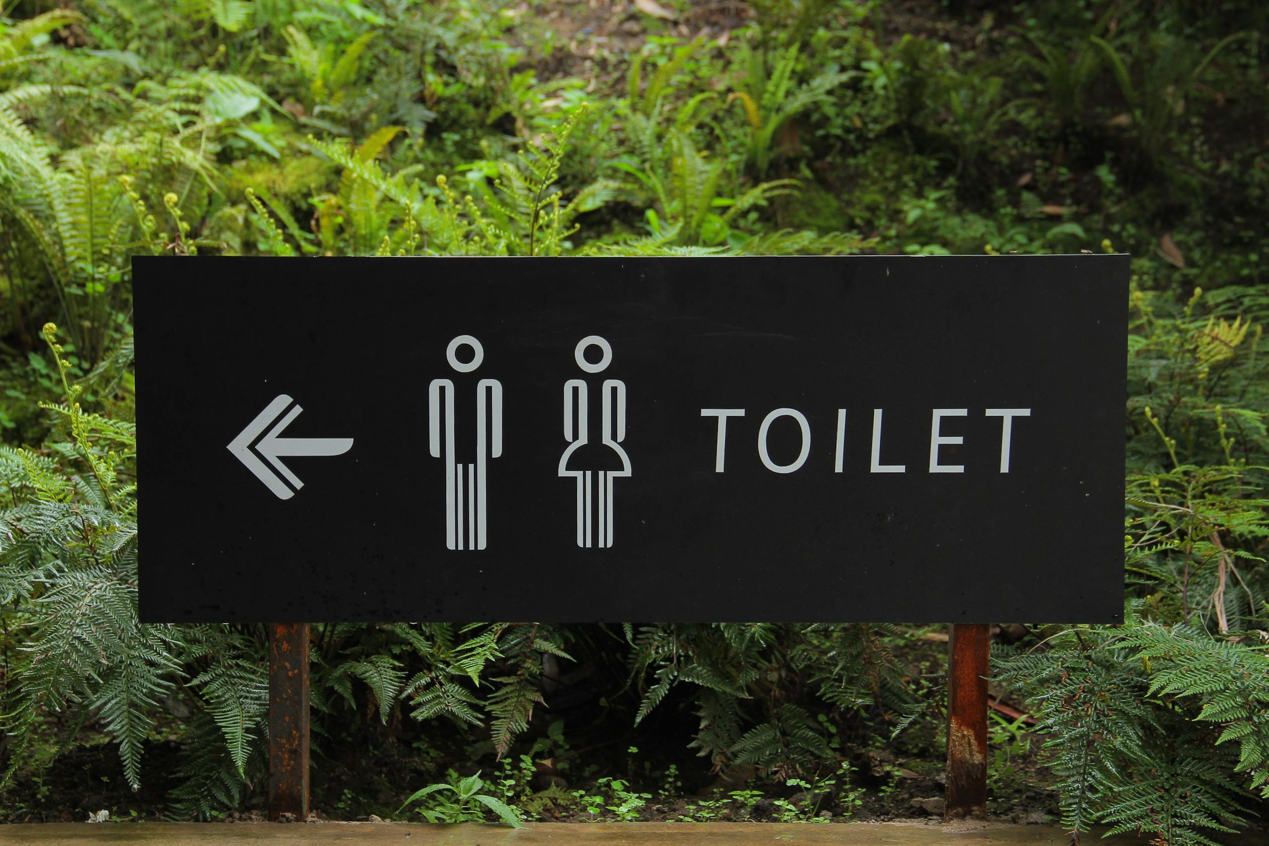 Outdoor toilet sign amidst lush ferns, indicating restroom direction.